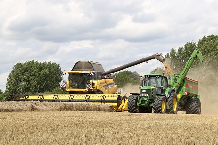 Ernte 2017. Foto: © Lucas Colsman